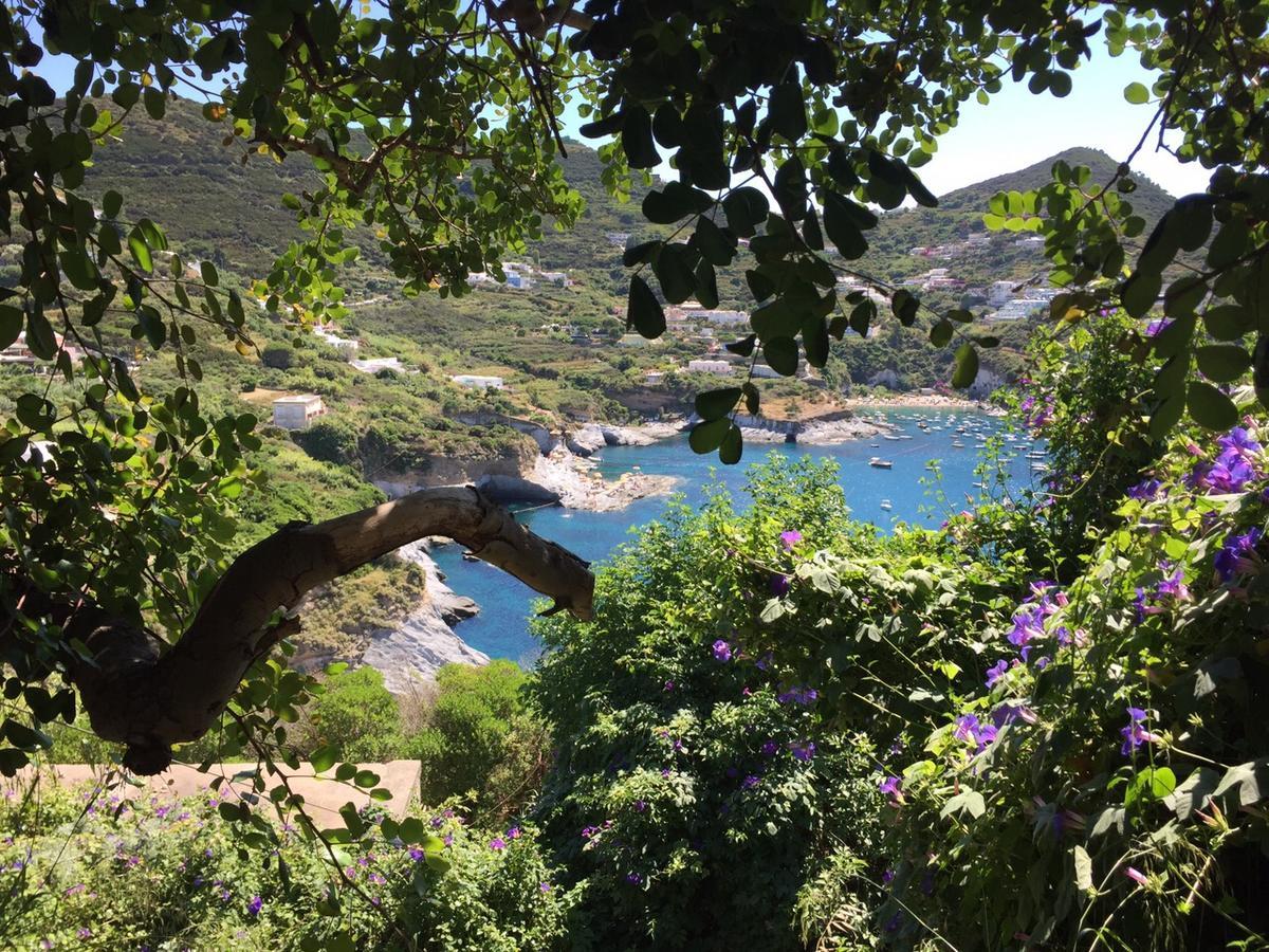 Hotel Ortensia Ponza Esterno foto